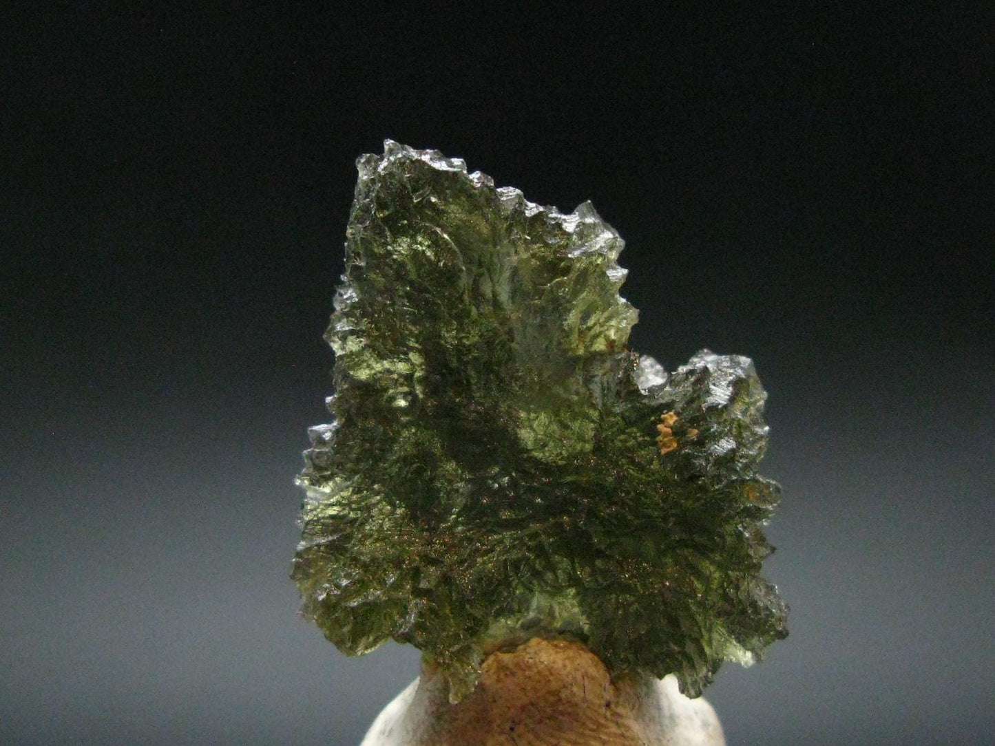 Besednice Moldavite Tektite Raw Piece from Czech Republic - 1.2" - 18.75 Carats