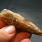 Cacoxenite Amethyst Crystal From Brazil - 2.5"