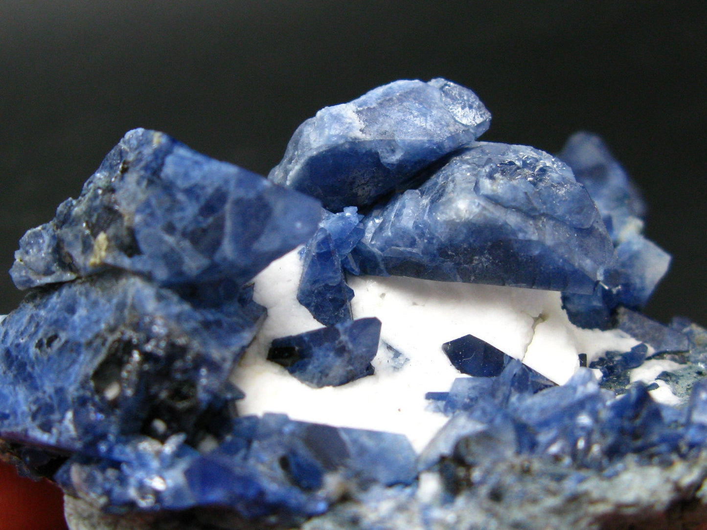 Museum Benitoite and Neptunite on Natrolite Cluster From California - 3.2"
