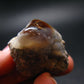 Fire Agate Crystal From Mexico - 1.4" - 24.36 Grams