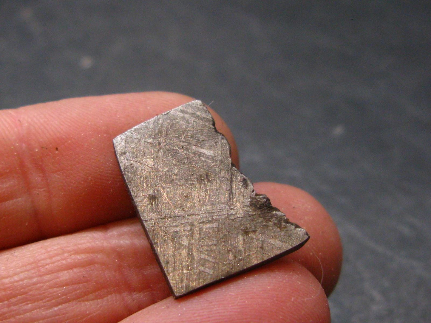 Large Gibeon Meteorite From Namibia - 0.7" - 3.8 Grams
