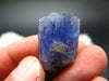 Synergy 12 Set Phenakite Moldavite Natrolite Petalite Danburite Tektite Scolecite Herderite Tanzanite Brookite 577.2Gr