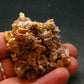 Wulfenite Cluster From Arizona - 1.9"- 49.68 Grams