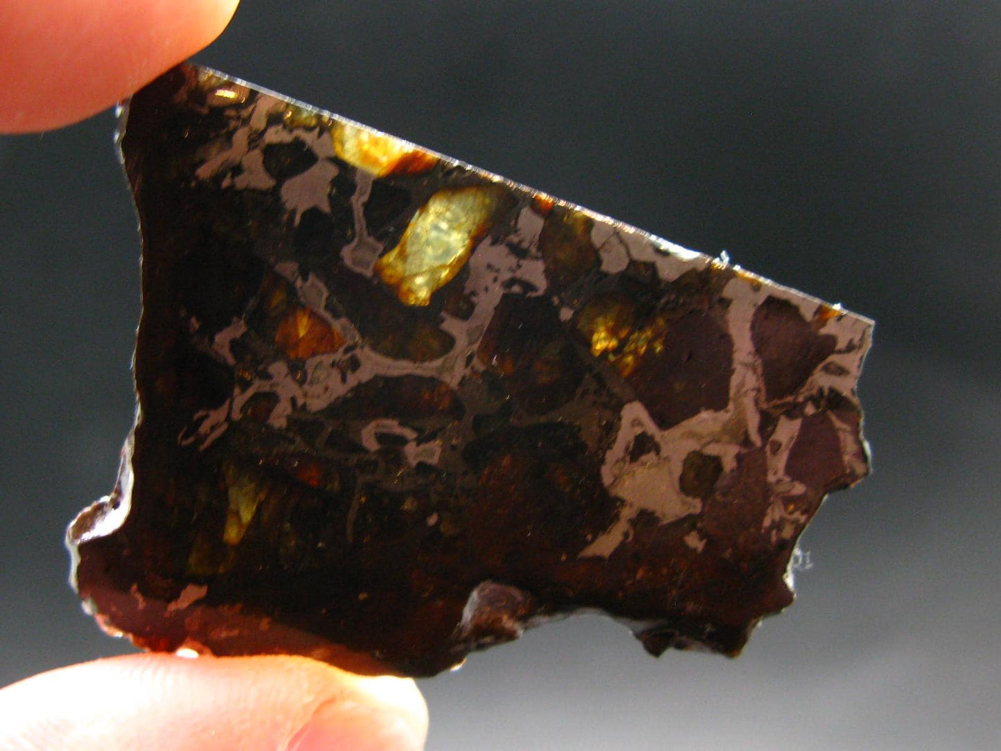 Large Brahin Meteorite Pallasite Olivine Slice From Belarus - 2.4" - 8.82 Grams