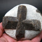 A Perfect Staurolite Crystal on Matrix from Russia - 3.6" - 431 Grams
