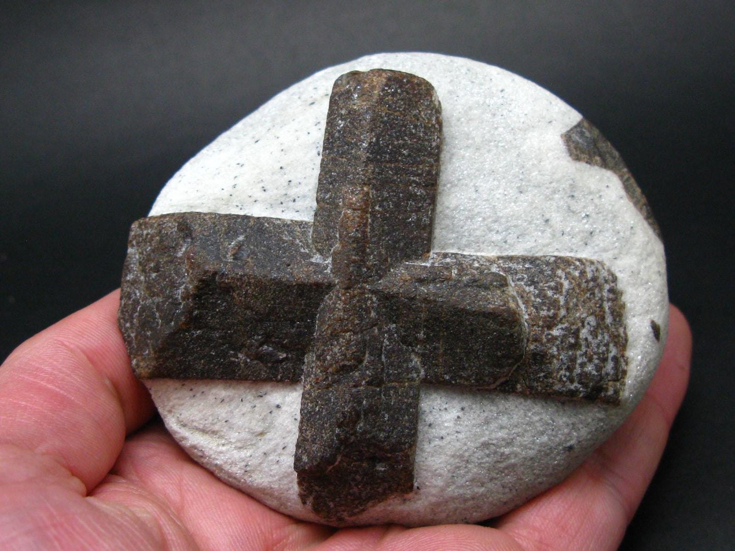 A Perfect Staurolite Crystal on Matrix from Russia - 3.6" - 431 Grams