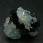 Gem Aquamarine & Black Tourmaline Crystal From Erongo Namibia - 2.1"