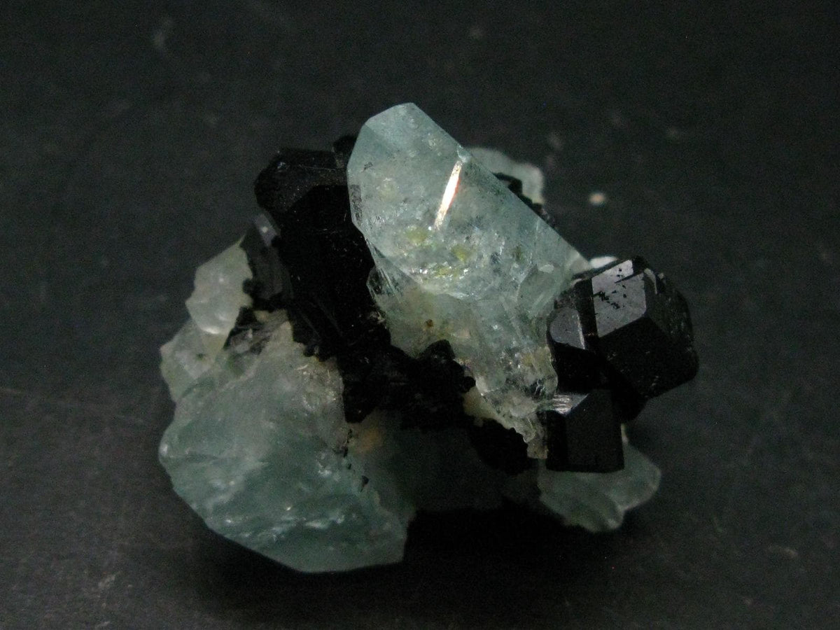 Gem Aquamarine & Black Tourmaline Crystal From Erongo Namibia - 2.1"