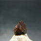 Rare Painite Crystal From Myanmar - 2.25Carats