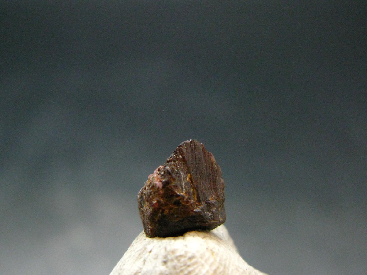 Rare Painite Crystal From Myanmar - 2.25Carats