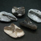 Fairy Cross!! Lot of 5 Dark Chocolate Staurolite Crystals from Russia