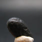 Rare Saffordite Cintamani Stone Pseudotektite Piece from Arizona USA - 7.10 Carats - 0.6"