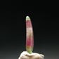 Rare Watermelon Tourmaline Crystal Slice From Brazil - 3.40 Carats