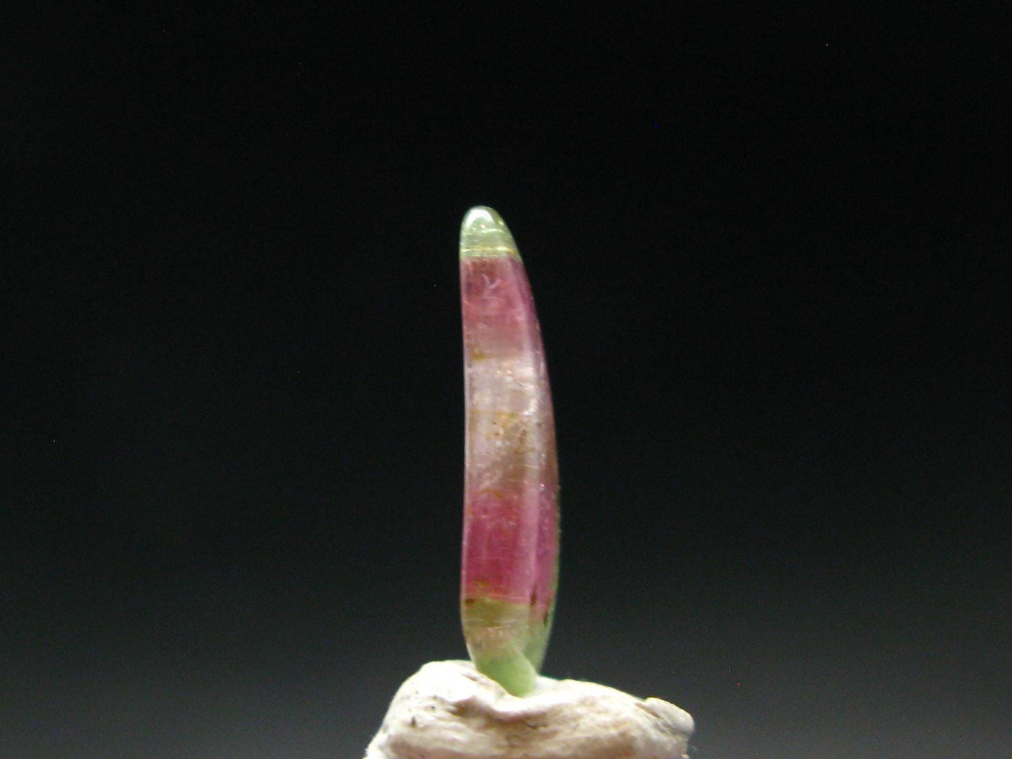 Rare Watermelon Tourmaline Crystal Slice From Brazil - 3.40 Carats