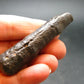 Rare Prophecy Stone Limonite after Pyrite From Egypt - 2.5" - 33.14 Grams