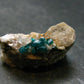 Very Nice Dioptase Cluster from Congo - 1.0" - 5.22 Grams