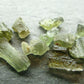 Lot of 10 Rare Moldavite Tektite From Czech Republic - 10 Carats