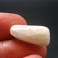 Phenakite Phenacite Tumbled Crystal From Nigeria - 3.49 Grams - 0.7"