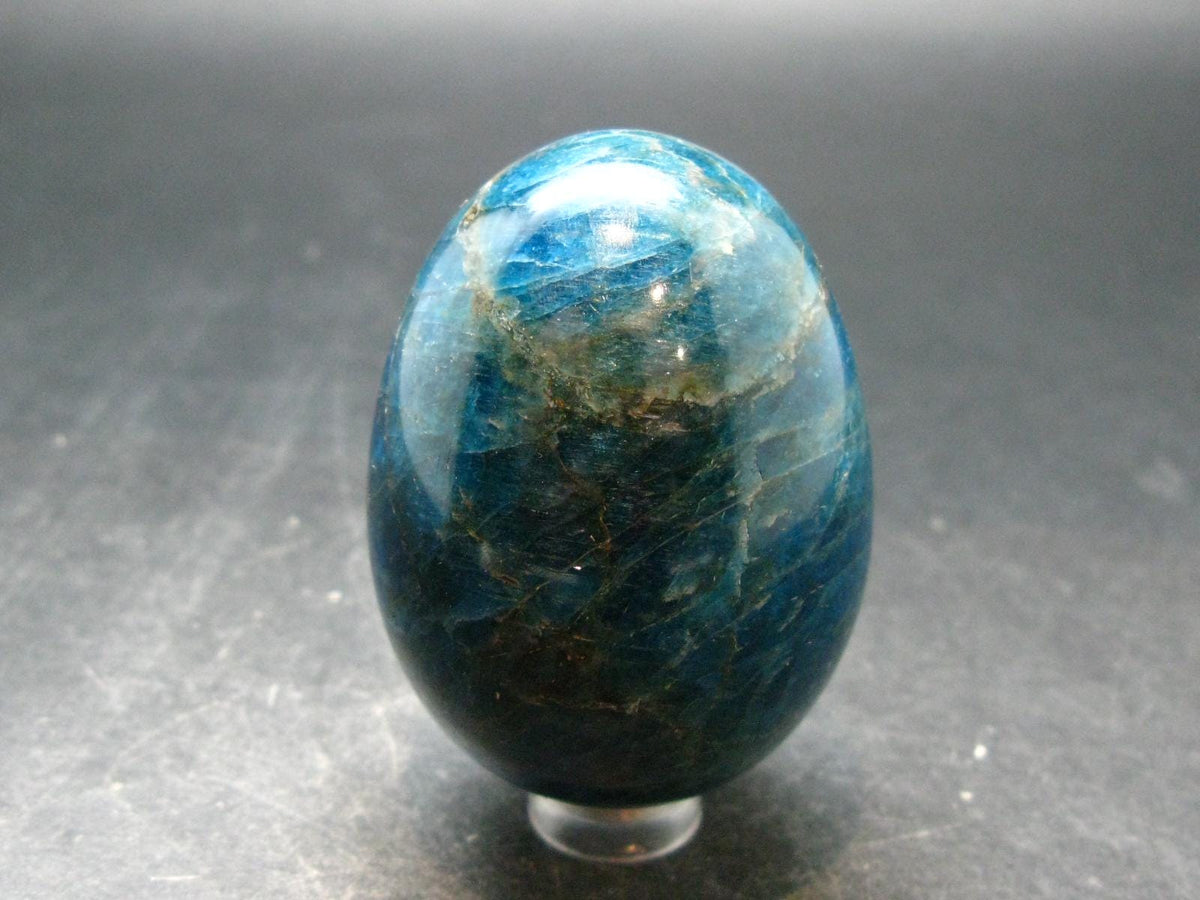 Large Neon Blue Apatite Egg from Madagascar - 188.64 Grams - 2.3"