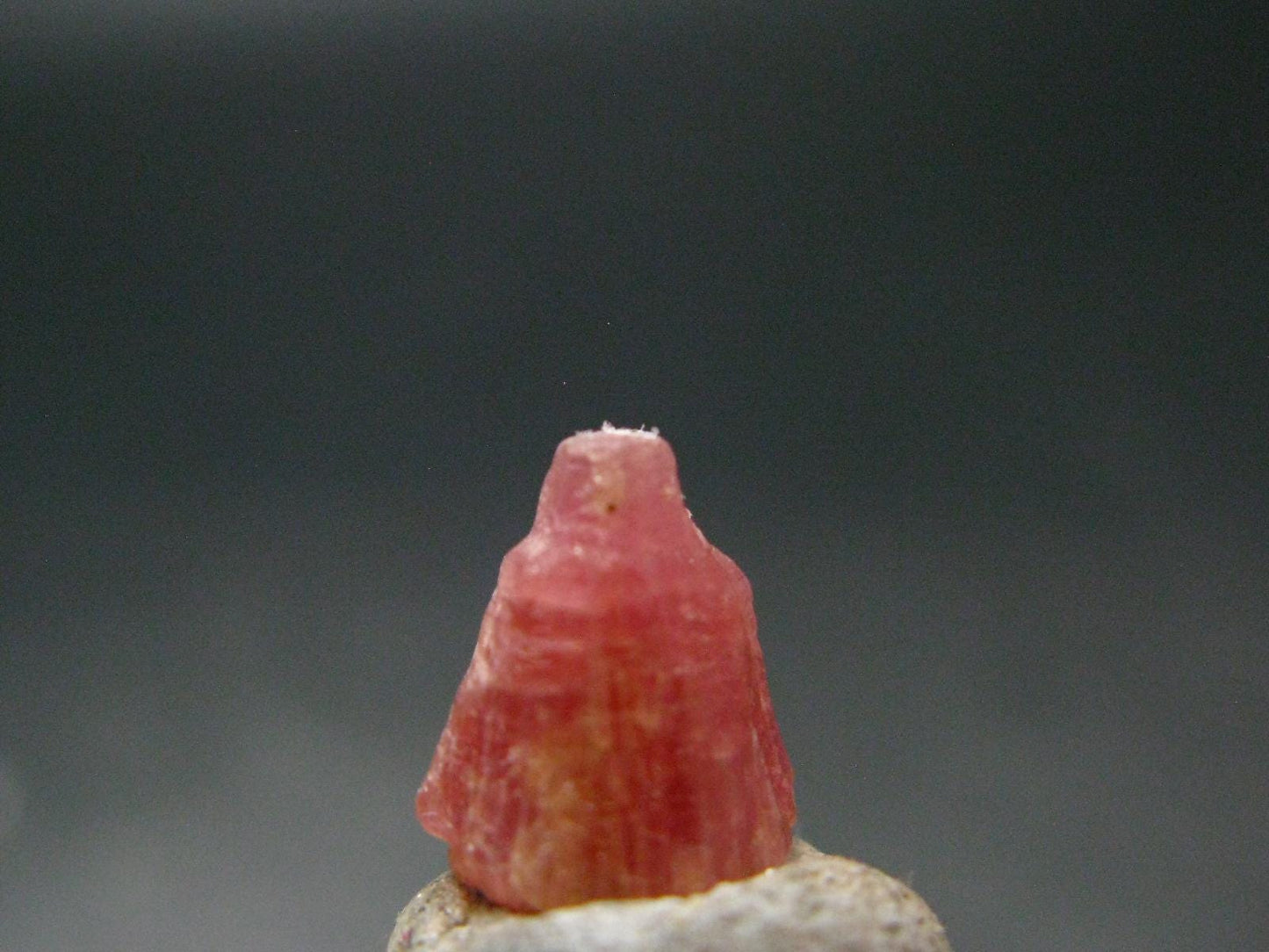 Rare Pezzottaite Crystal from Madagascar - 3.50 Carats - 0.4"
