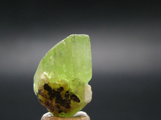 Diopside Rare Gem Crystal From Tanzania - 0.8" - 3.67 Grams