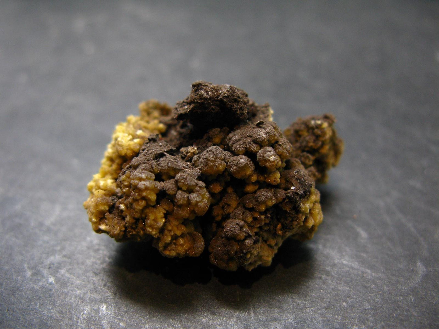 Nice Large Yellow Mimetite Cluster from Mexico - 1.5"