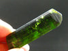Green Tourmaline Crystal From Brazil - 2.3" - 168.90 Carats