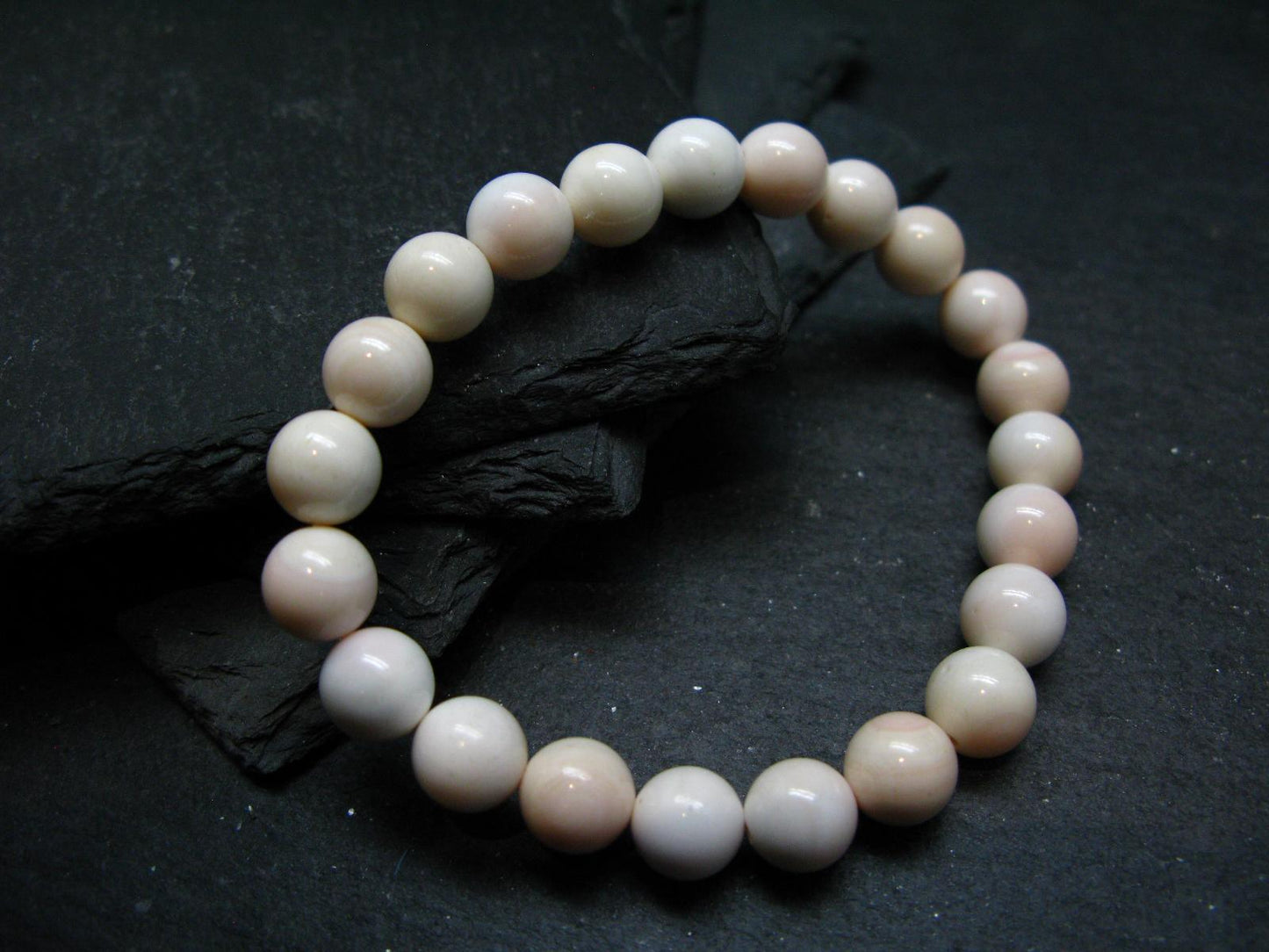 Conch Shell Genuine Bracelet ~ 7 Inches ~ 8mm Round Beads