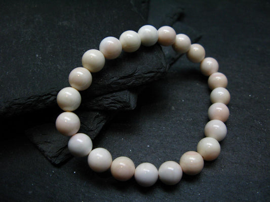 Conch Shell Genuine Bracelet ~ 7 Inches ~ 8mm Round Beads