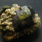 Nice Rare Epidote Cluster From Peru - 1.9"