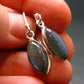 Blue Labradorite Silver Earrings From Madagascar - 2.30 Grams
