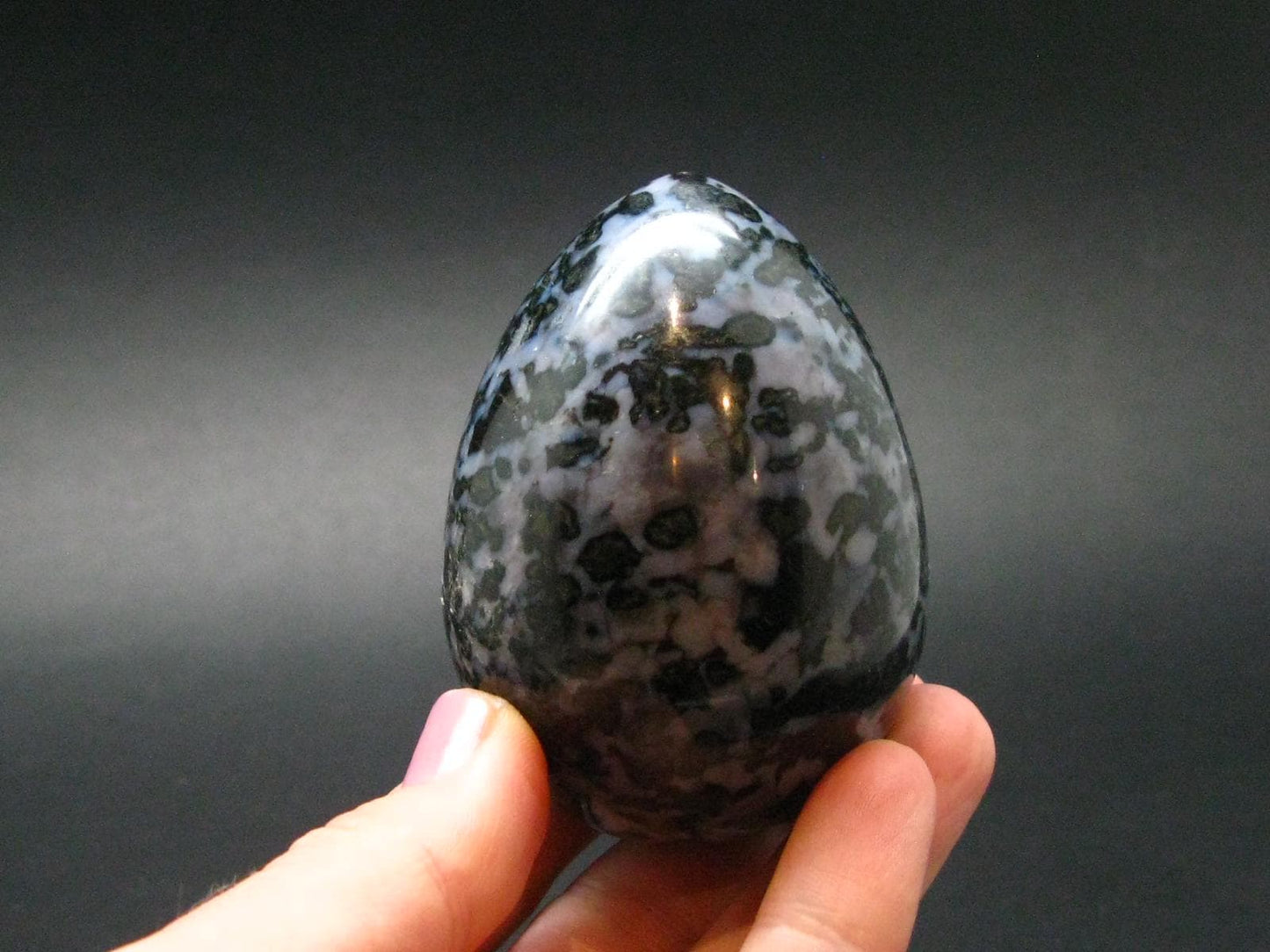 Rare Gabbro Mystic Merlinite Egg from Indian Ocean - 2.5" - 220.78 Grams