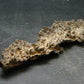 Large Fulgurite Lightning Rock From Sahara Desert - 4.2" - 10.65 Grams