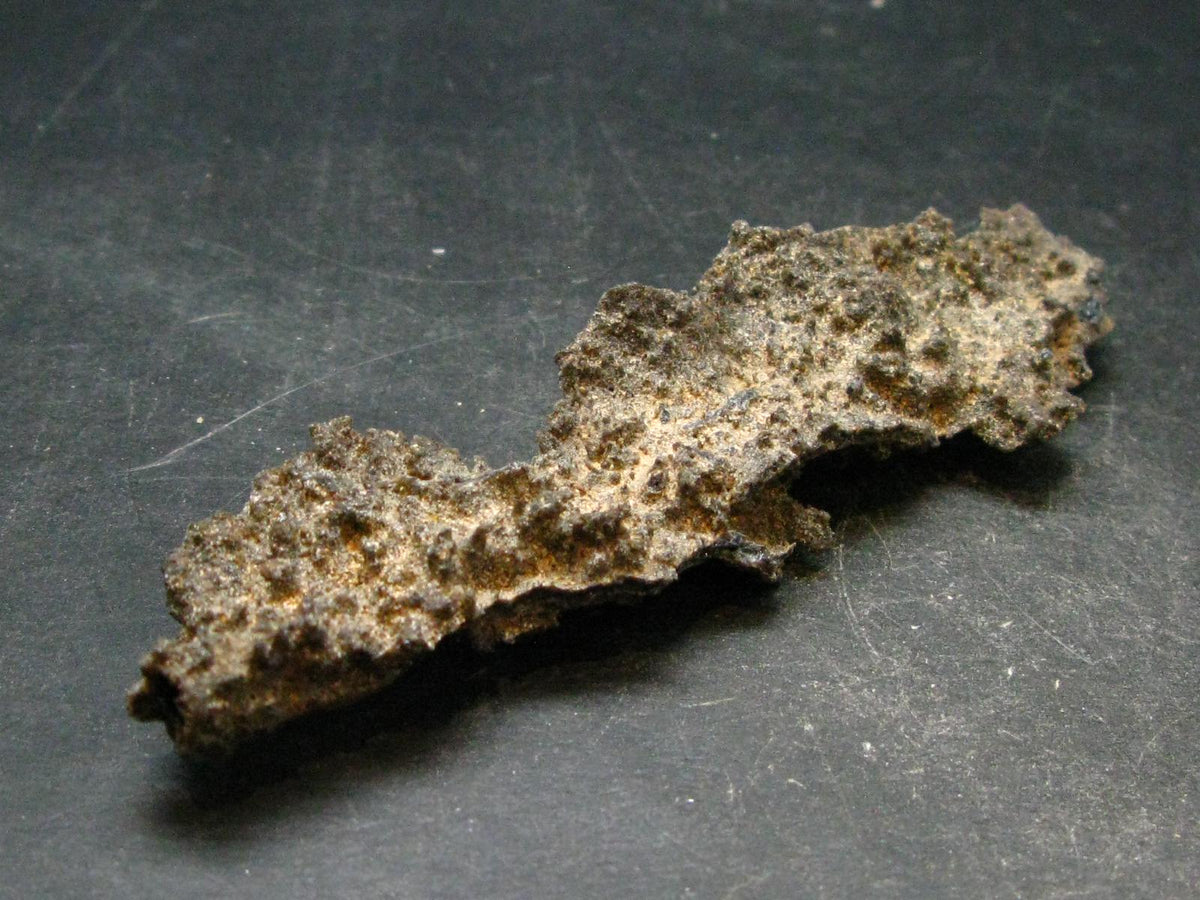 Large Fulgurite Lightning Rock From Sahara Desert - 4.2" - 10.65 Grams