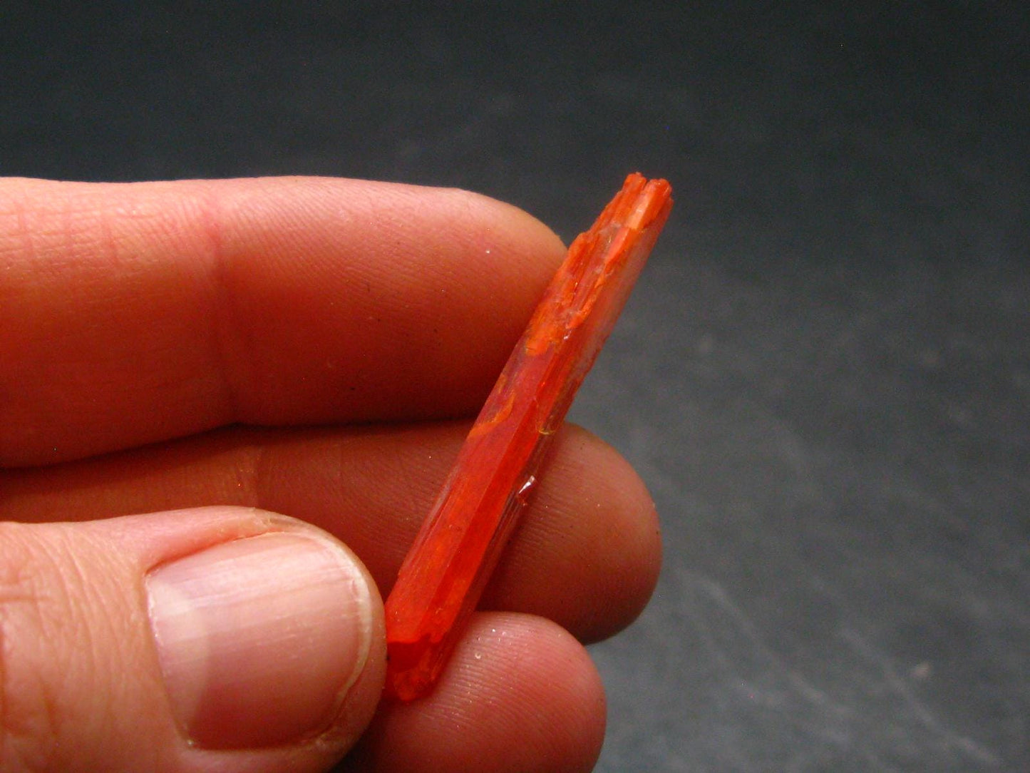 Large Orange Crocoite Crystal From Australia - 1.4" - 7.55 Carats