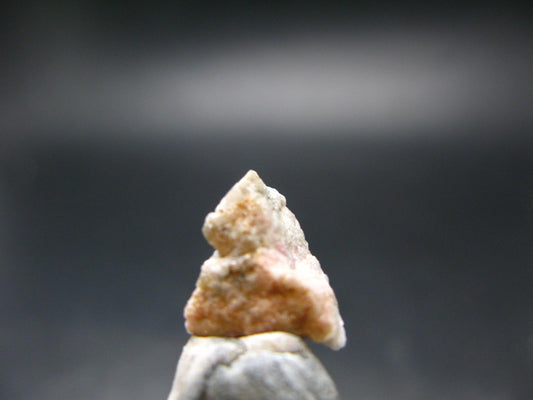 Rare Pink Tugtupite Raw Piece From Greenland - 0.95 Grams - 0.5"