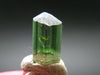 Green Tourmaline Crystal From Brazil - 0.6" - 11.10 Carats
