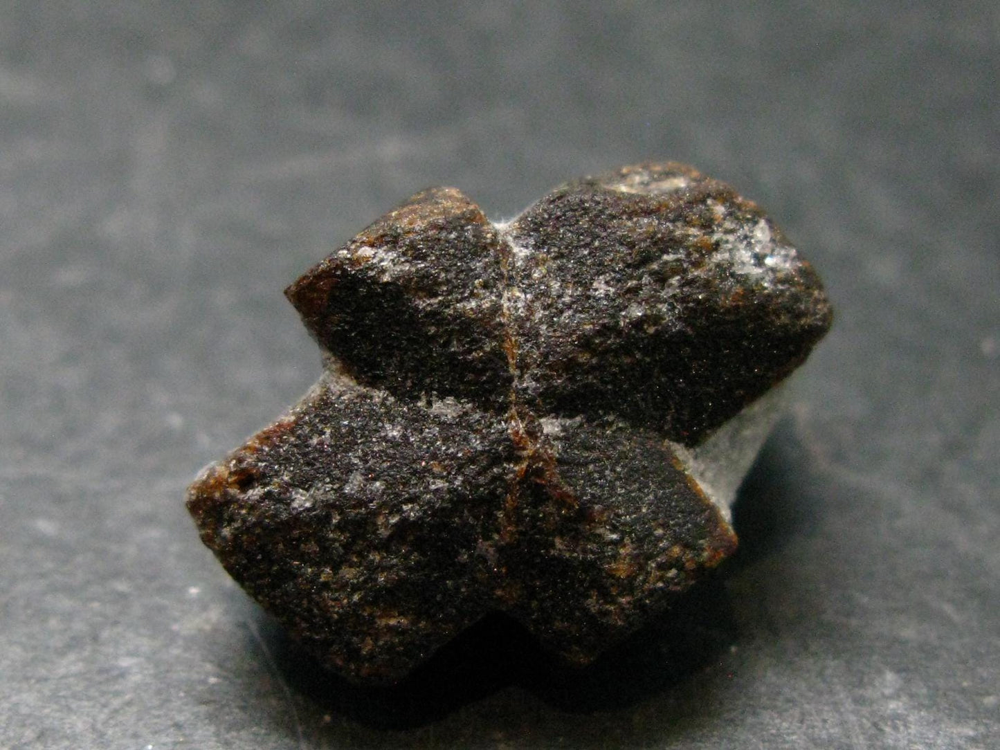 A Perfect Staurolite Crystal on Matrix from Russia - 0.9" - 7.88 Grams