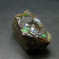 Ammolite Ammollite Fossil From Alberta Canada - 1.1" - 16.24 Grams
