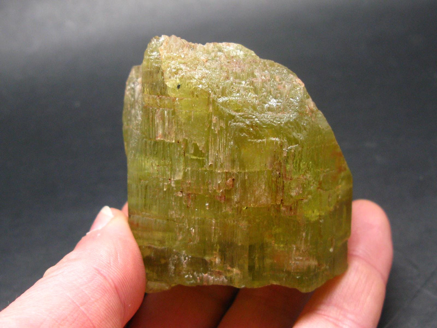 Gem Heliodor Golden Beryl Crystal From Tanzania - 243.63 Grams - 2.6"