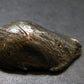 Sikhote Alin Meteorite From Russia - 17.87 Grams - 1.2"