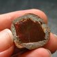 Natural Precious Opal With Play of Color from Ethiopia - 0.9" - 4.31 Grams