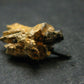 Rare Parisite Crystal From Malawi - 4.55 Grams - 1.0"