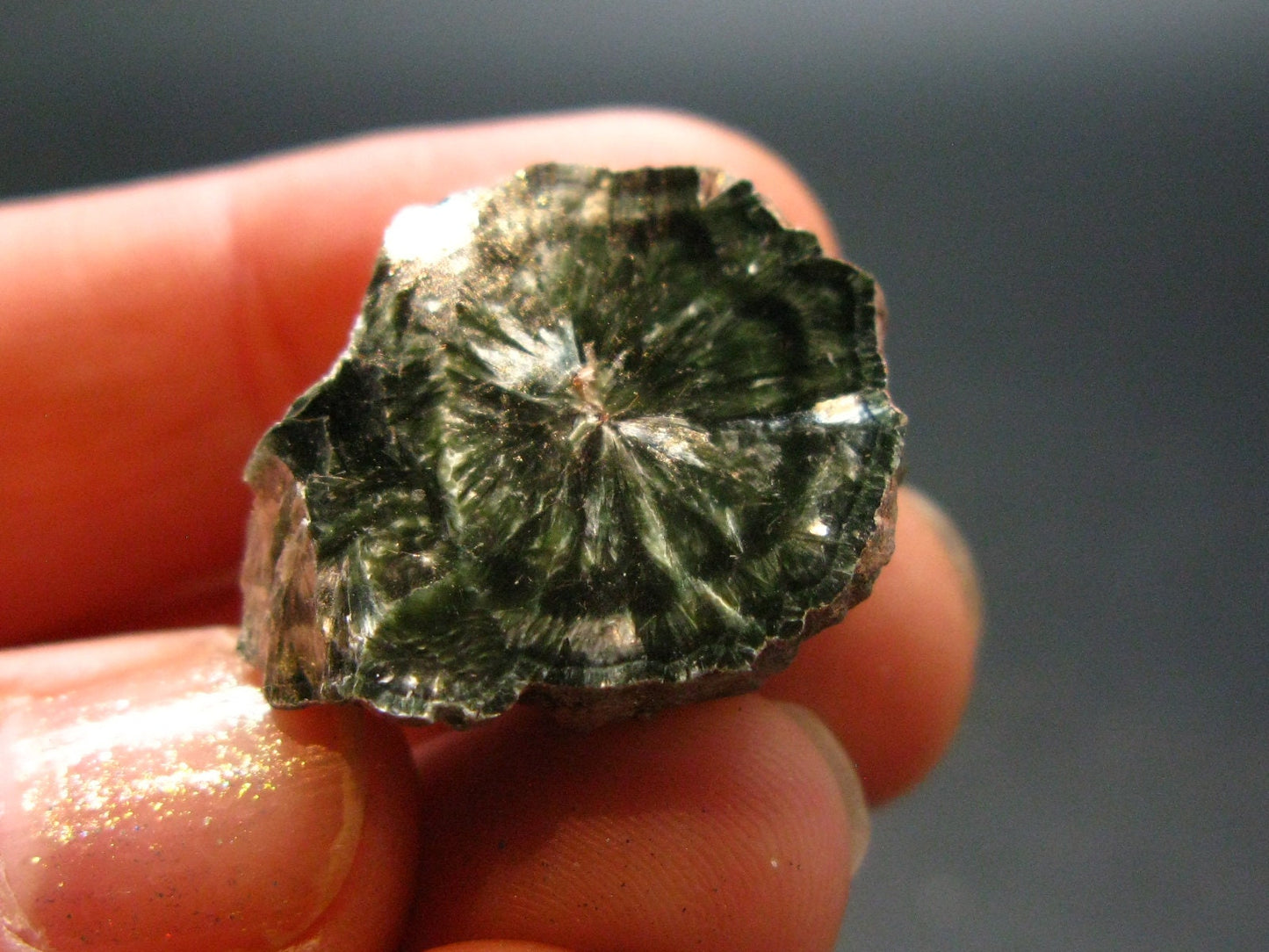 Nice Polished Seraphinite Clinochlore Stalactite From Russia - 0.9" - 6.57 Grams