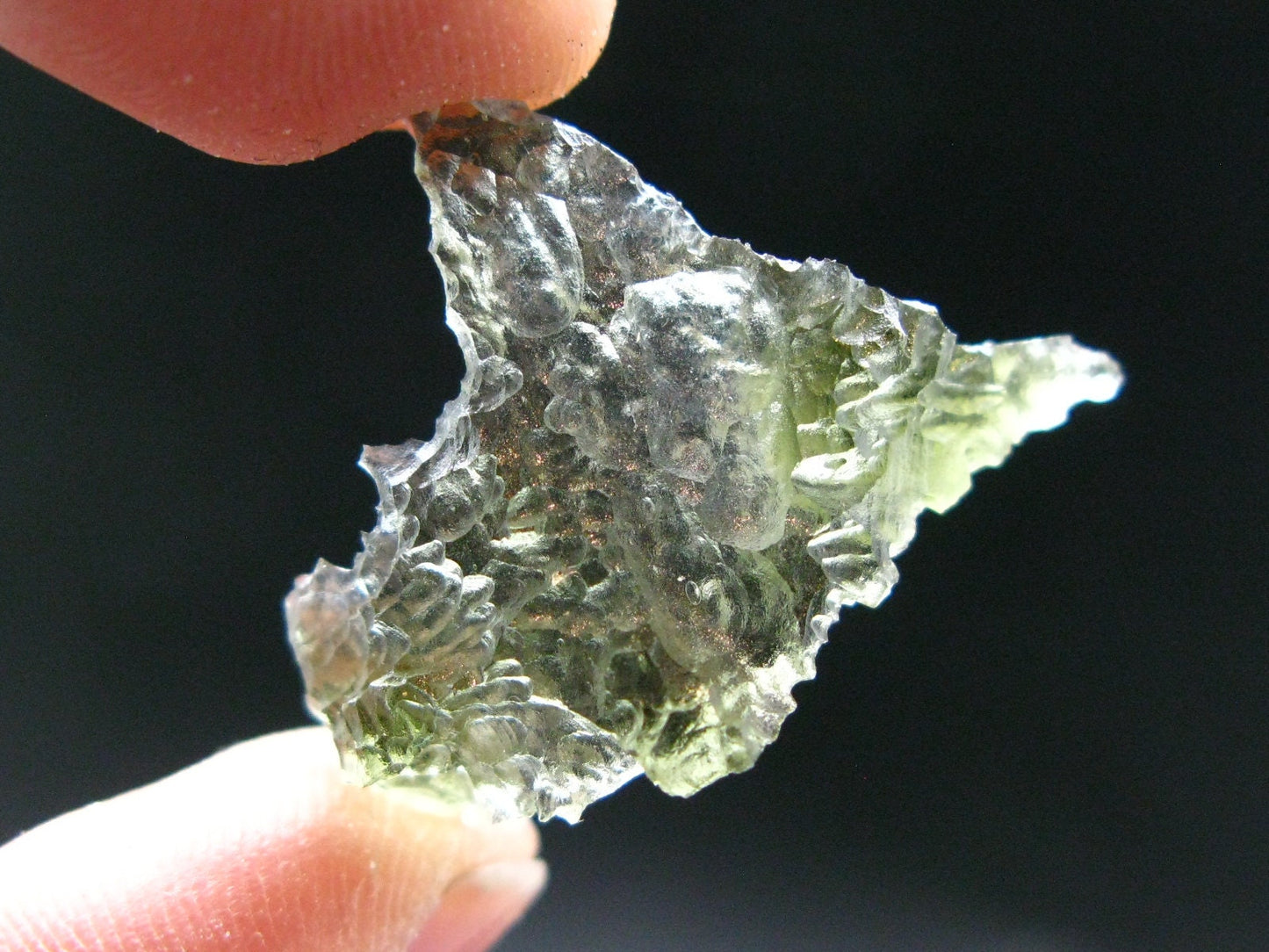 Rare Besednice Moldavite Tektite From Czech Republic - 1.3" - 12.70 Carats