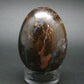 Super Rare Boulder Opal Egg from Australia - 2.3" - 145.2 Grams