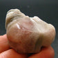 Phenakite Phenacite Tumbled Stone from Brazil - 43.58 Grams - 1.7"
