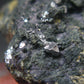 Sperrylite Crystals On Matrix From Norilsk Russia - 1.5" - 10+ Crystals