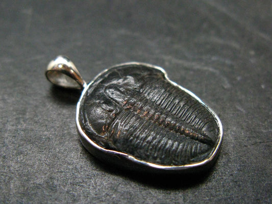 Trilobite Silver Pendant from USA - 1.0" - 2.14 Grams