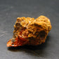 Wulfenite Cluster From Arizona - 1.2"